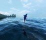 Езда на дельфине ArcheAge